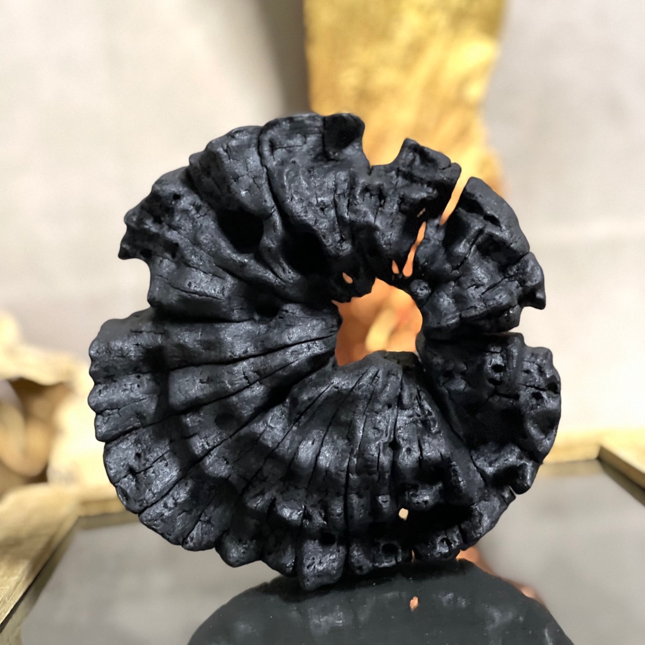 児玉 昌彦(玉ryu)