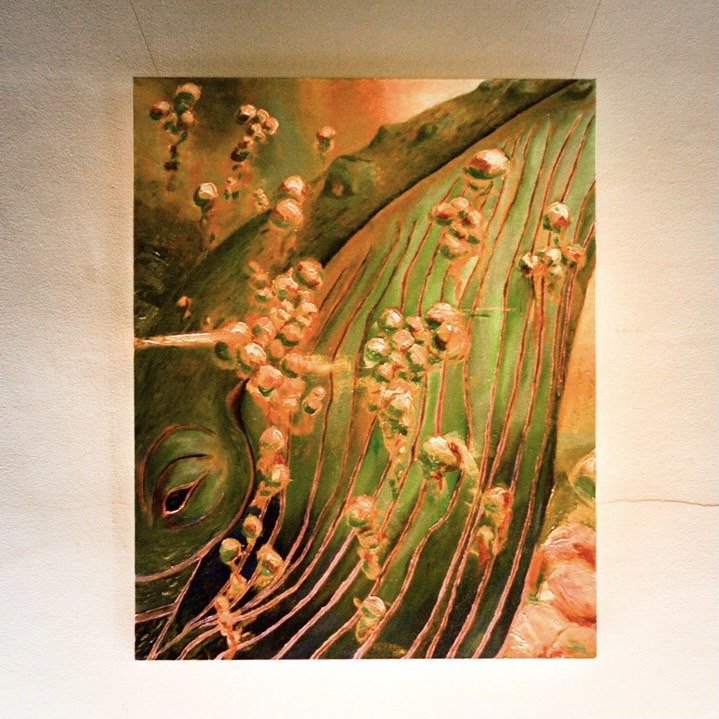 THE CLASS KOBE　河合ターキー